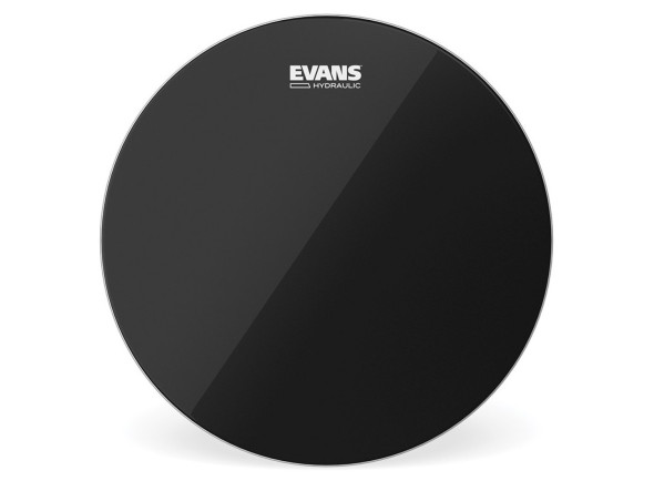 Evans 22 Evans 22